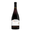 Vinho Ventisqueiro Queulat Itata Cinsault TTO 750ML
